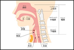 どうして耳鼻咽喉科では鼻の吸引をするのですか？